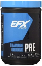 EFX Pre Workout, Training Ground Pre, Blueberry, 20 Servings
