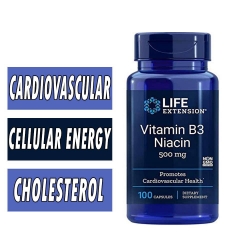 Life Extension Vitamin B3 Niacin – 500 mg – 100 Capsules