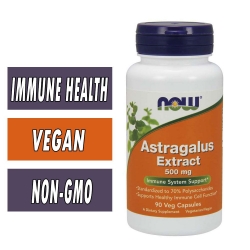 NOW Astragalus Extract - 500mg - 90 Veg Caps