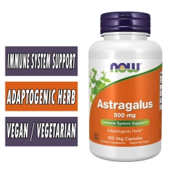 NOW Astragalus, 500 mg, 100 Caps