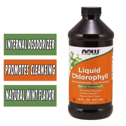 NOW Chlorophyll Liquid - 16 fl oz