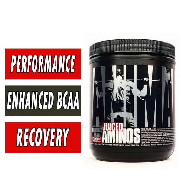 Animal Juiced Aminos By Universal Nutrition