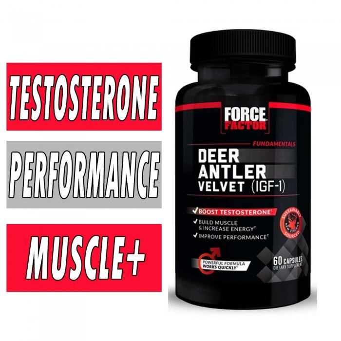 Deer Antler Velvet Force Factor Muscle Builder
