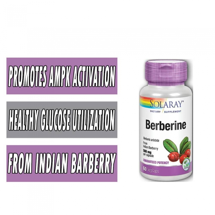 Solaray Berberine - 500 mg - 60 Veg Capsules bottle image