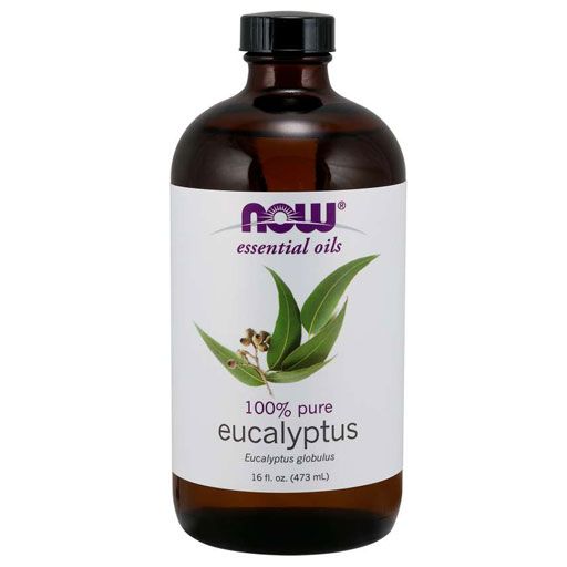 NOW Eucalyptus Globulus Oil - 16 fl. oz.