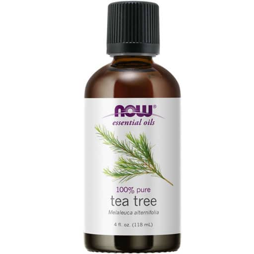 NOW Tea Tree Oil - 4 fl oz