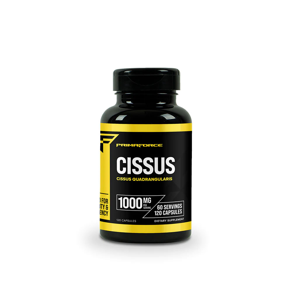 PrimaForce Cissus - 1000 mg - 120 Caps